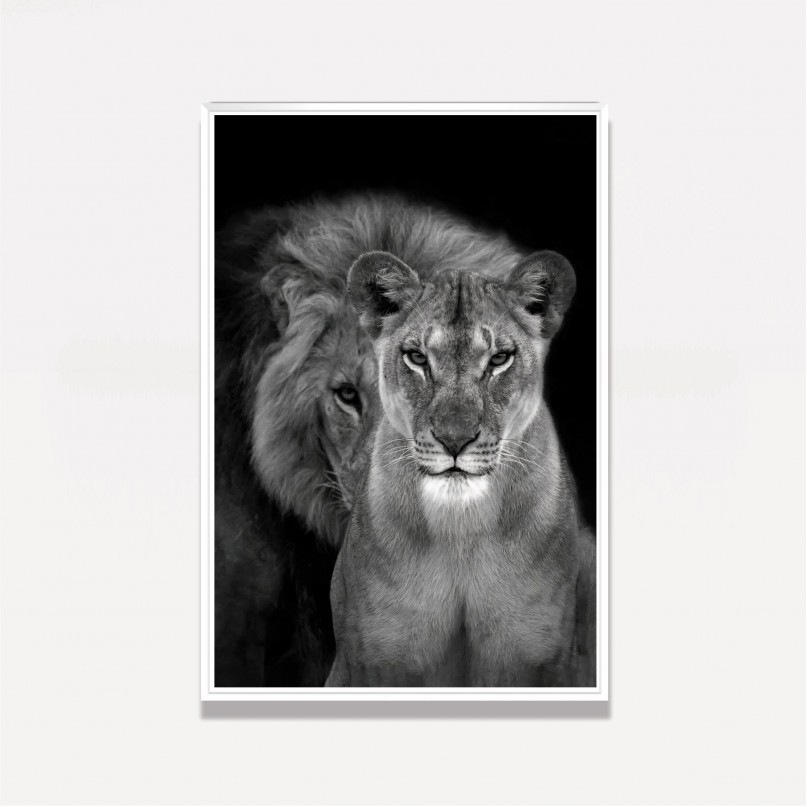 Quadro Casal de Leões Retrato P&B decorativo