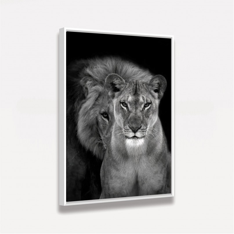 Quadro Casal de Leões Retrato P&B decorativo