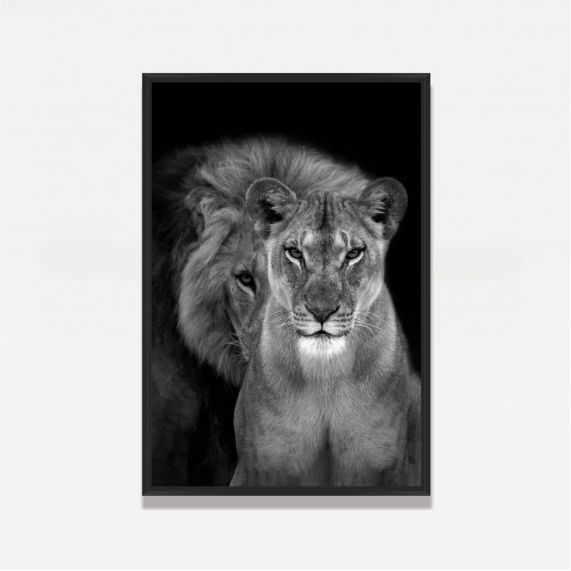 Quadro Casal de Leões Retrato P&B decorativo