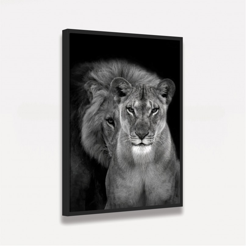 Quadro Casal de Leões Retrato P&B decorativo