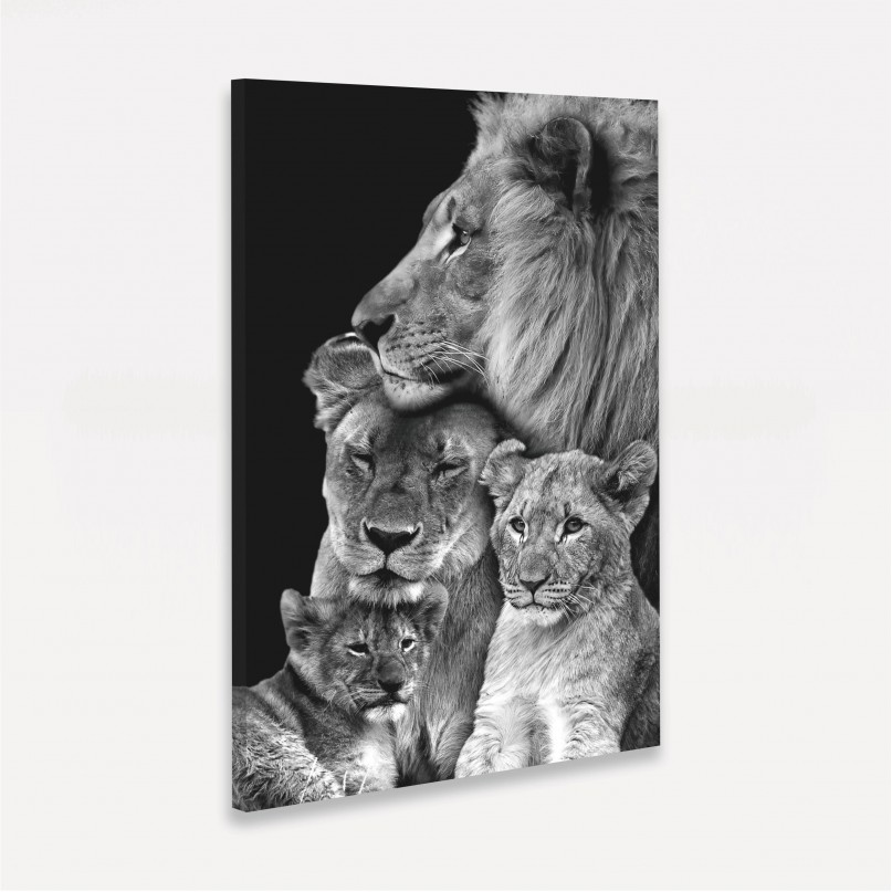 Quadro Leão Casal Família 2 Filhotes em Preto e Branco