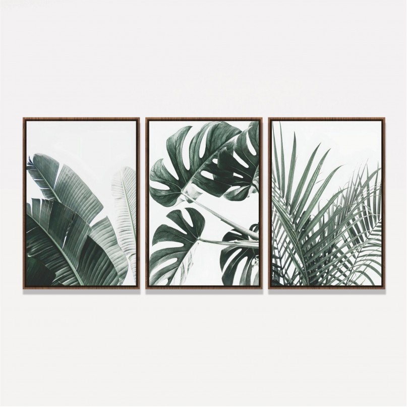 Quadro Trio Folhagens Costela de Adão