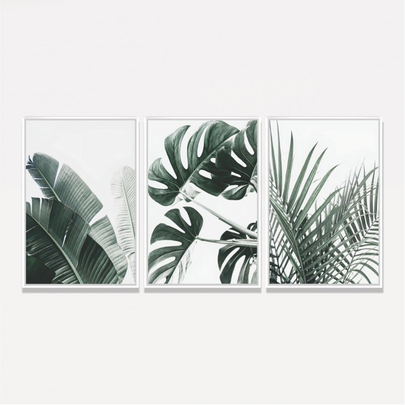 Quadro Trio Folhagens Costela de Adão
