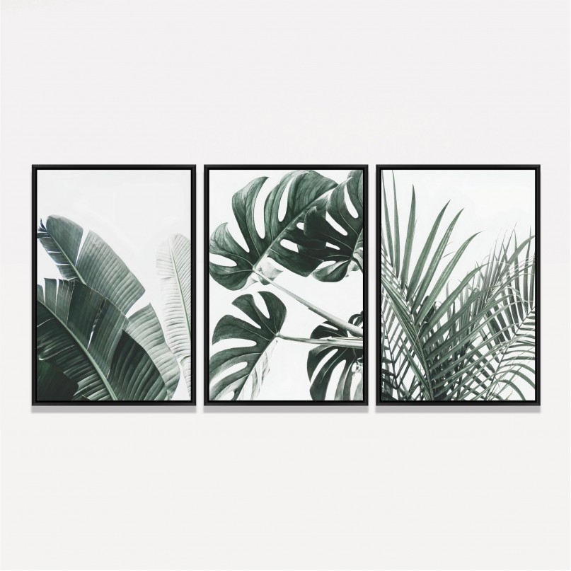 Quadro Trio Folhagens Costela de Adão