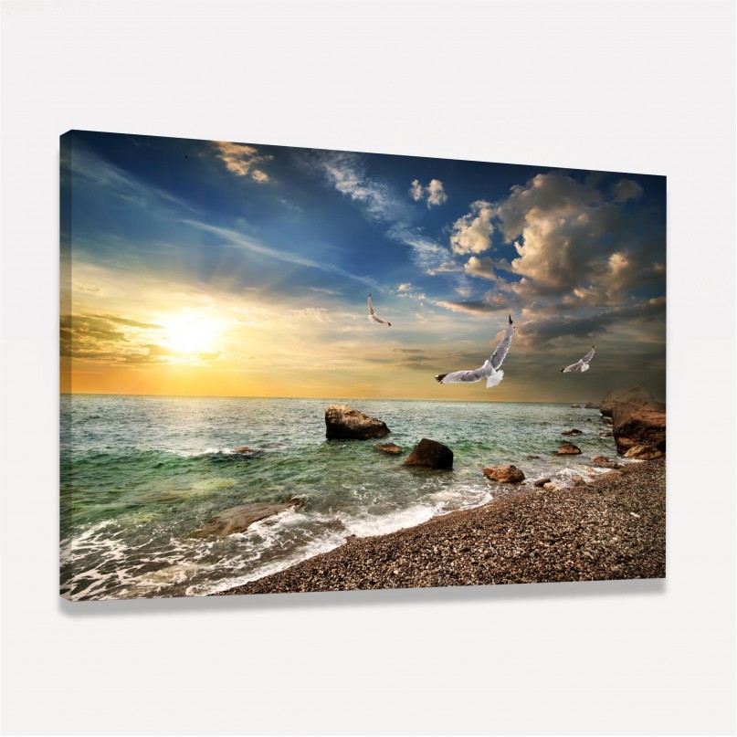 Quadro Praia Mar Pássaros ao Sol Radiante