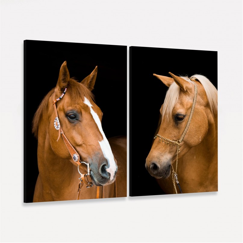 Quadro Casal de Cavalos Marrom Sobre Preto Duo