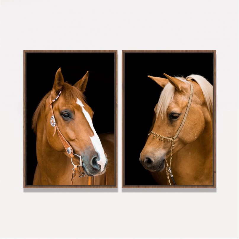 Quadro Casal de Cavalos Marrom Sobre Preto Duo