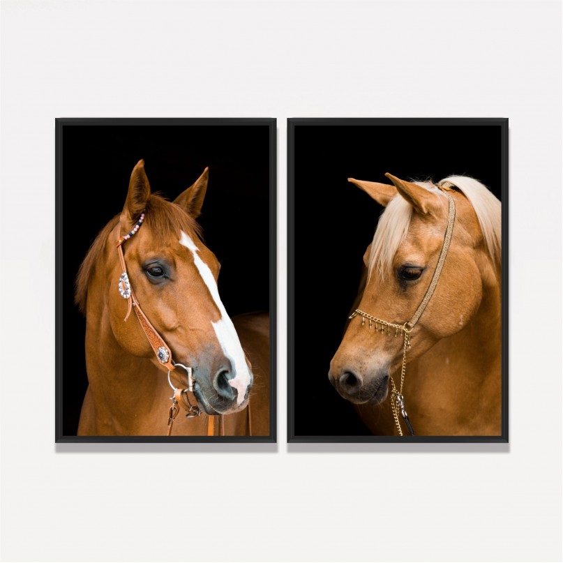Quadro Casal de Cavalos Marrom Sobre Preto Duo