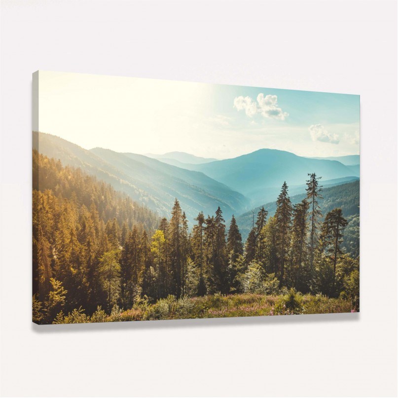 Quadro Vista Floresta de Coníferas Montanhas Paisagem