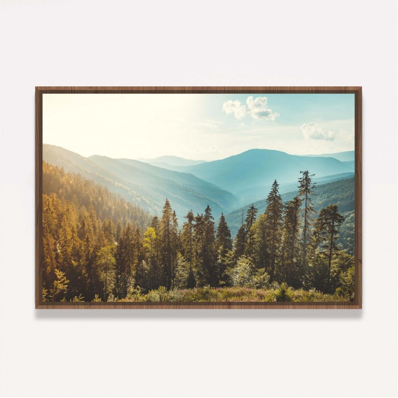 Quadro Vista Floresta de Coníferas Montanhas Paisagem