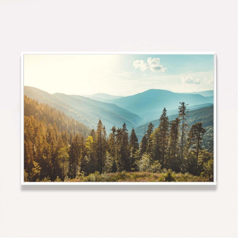 Quadro Vista Floresta de Coníferas Montanhas Paisagem