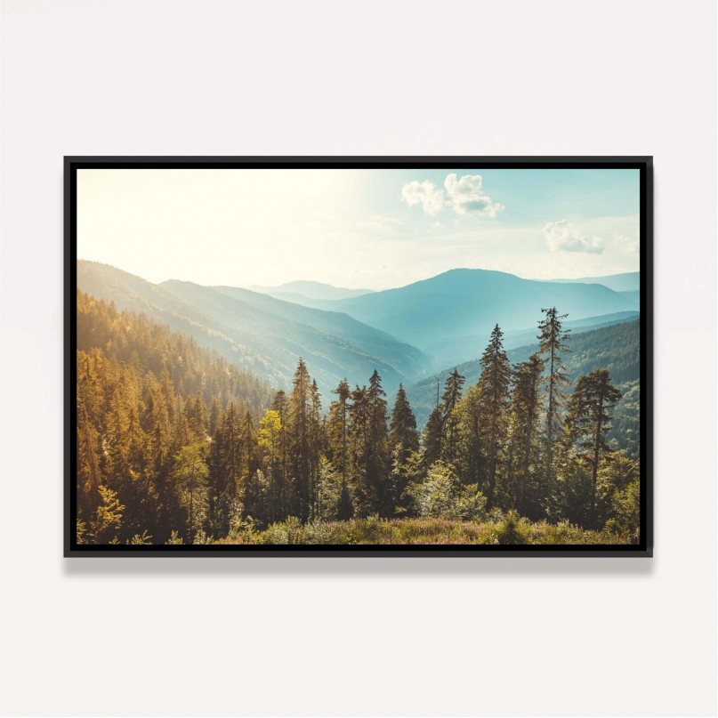 Quadro Vista Floresta de Coníferas Montanhas Paisagem