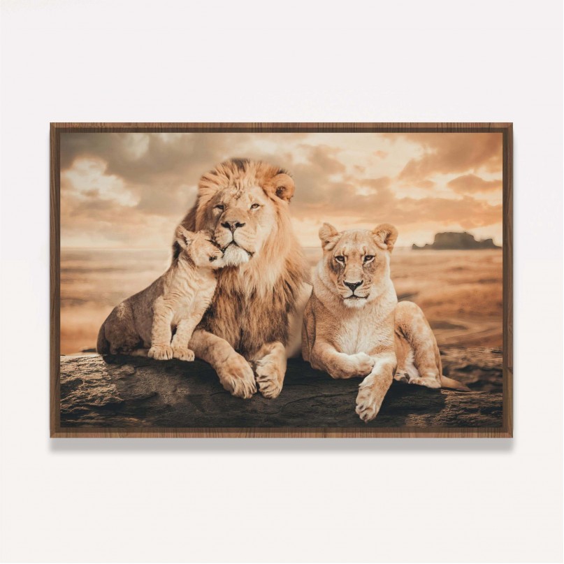 Quadro Família de Leões 1 Filhote Artístico