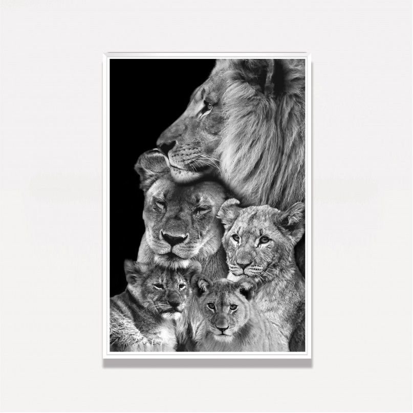 Quadro Leão Casal e Família 3 Filhotes em Preto e Branco