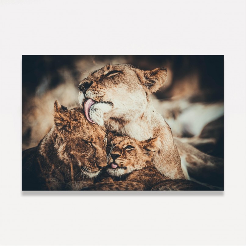 Quadro Leoa Dois Filhotes Amor e Carinho