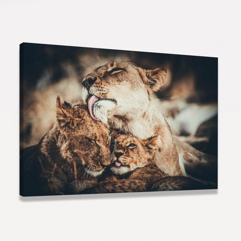 Quadro Leoa Dois Filhotes Amor e Carinho