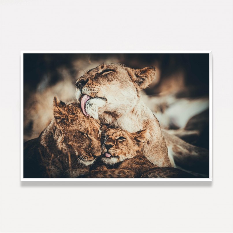Quadro Leoa Dois Filhotes Amor e Carinho