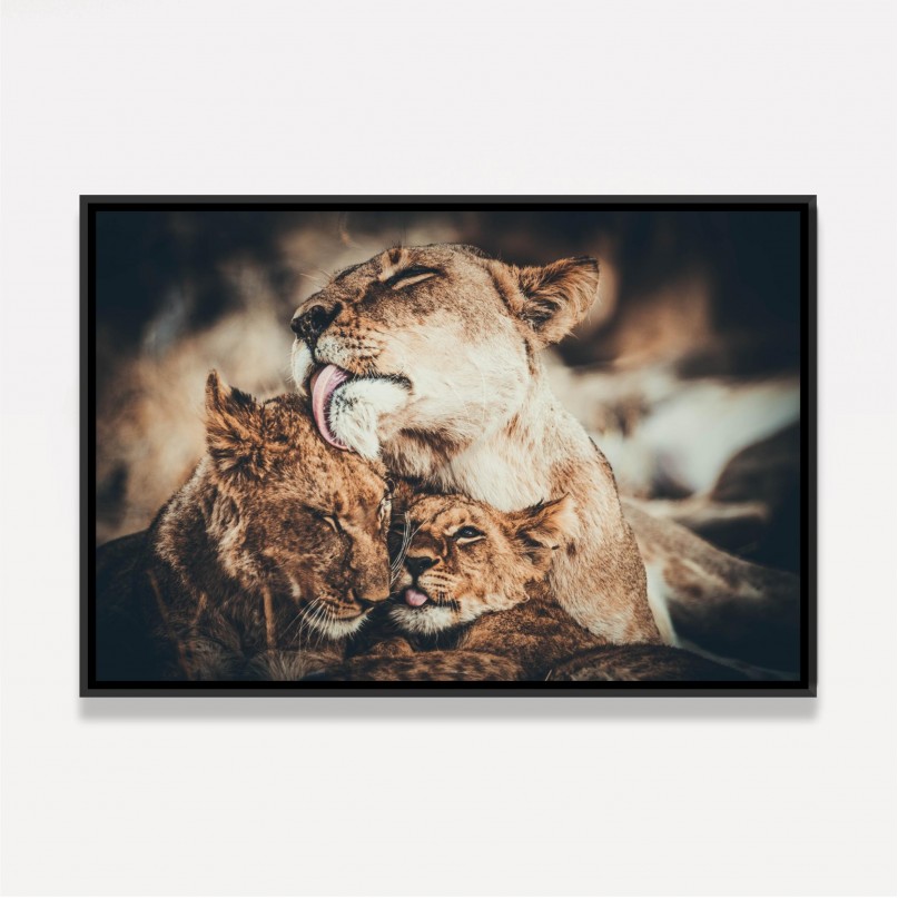Quadro Leoa Dois Filhotes Amor e Carinho