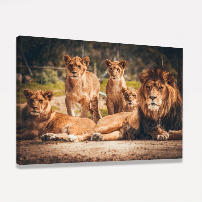 Quadro Grande Família de Leões Artístico 3 Filhotes