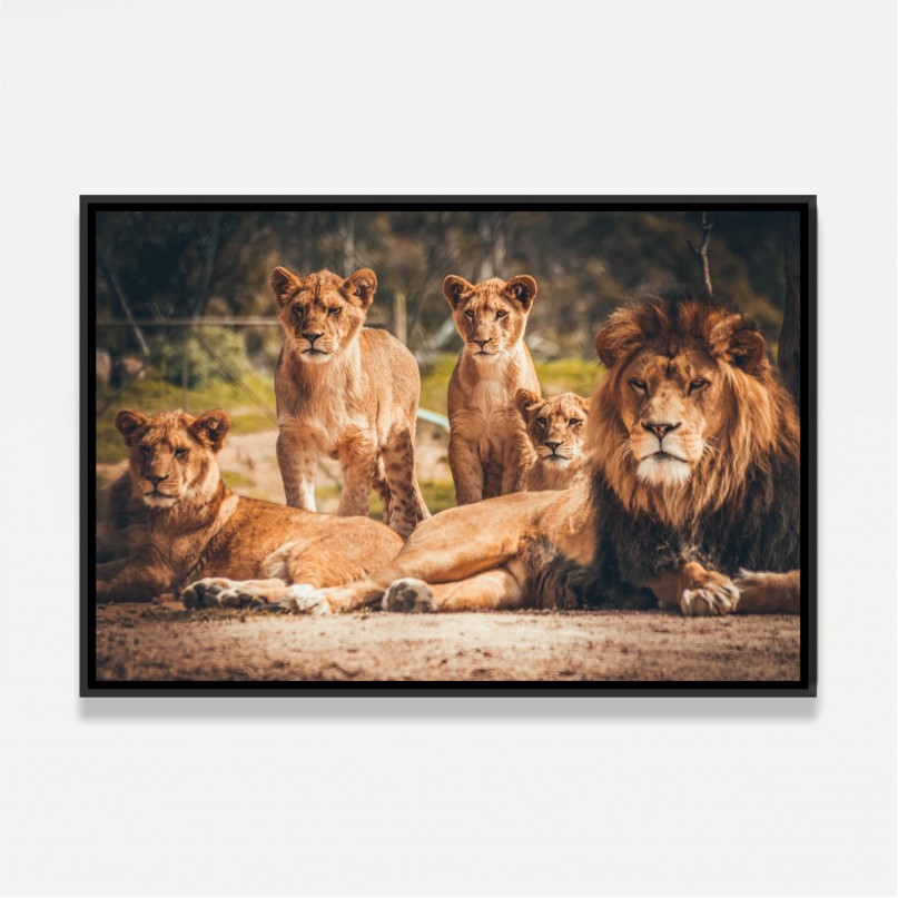 Quadro Grande Família de Leões Artístico 3 Filhotes