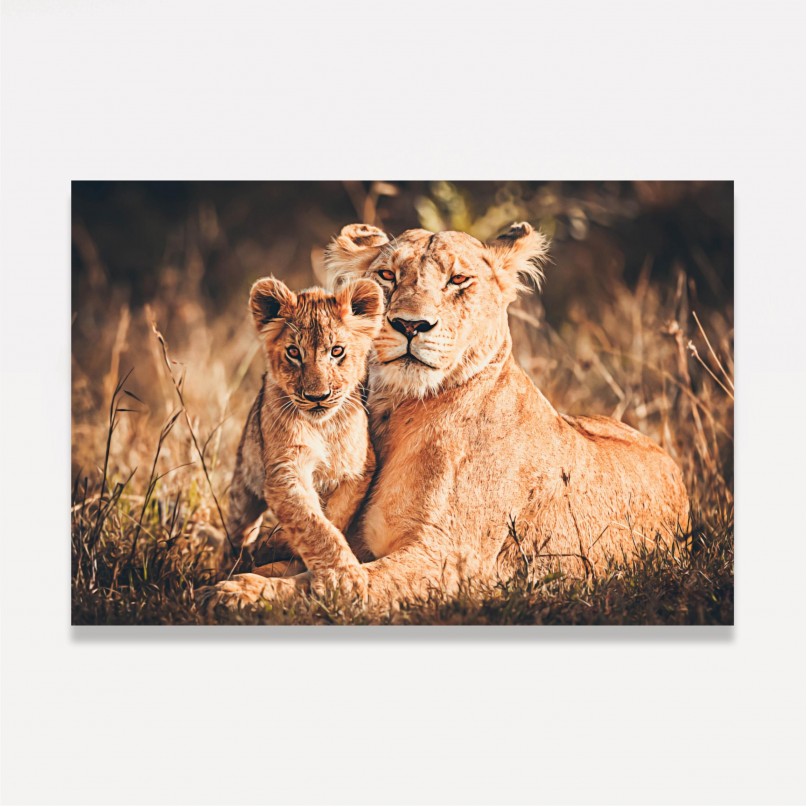 Quadro Leoa Mãe e Filhote Artístico