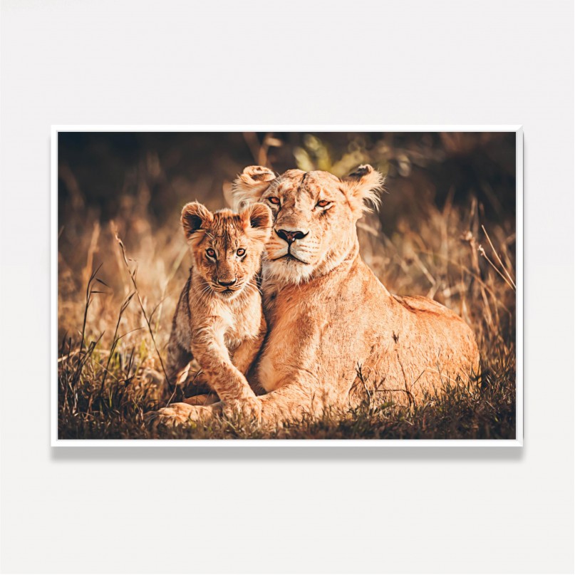 Quadro Leoa Mãe e Filhote Artístico