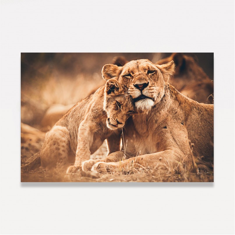 Quadro Leoa e Filhote Amor de Predador
