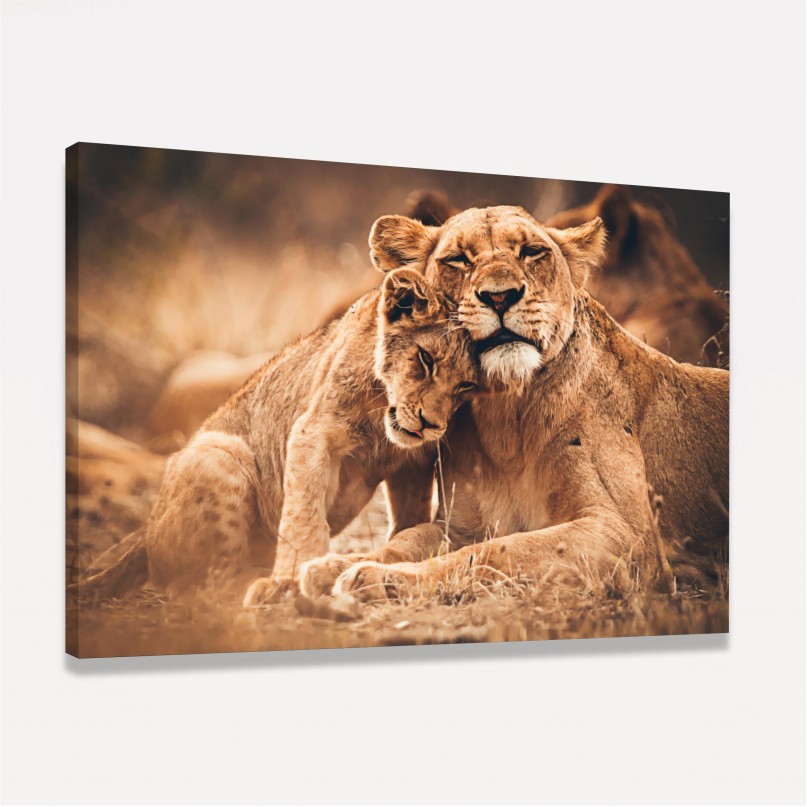 Quadro Leoa e Filhote Amor de Predador