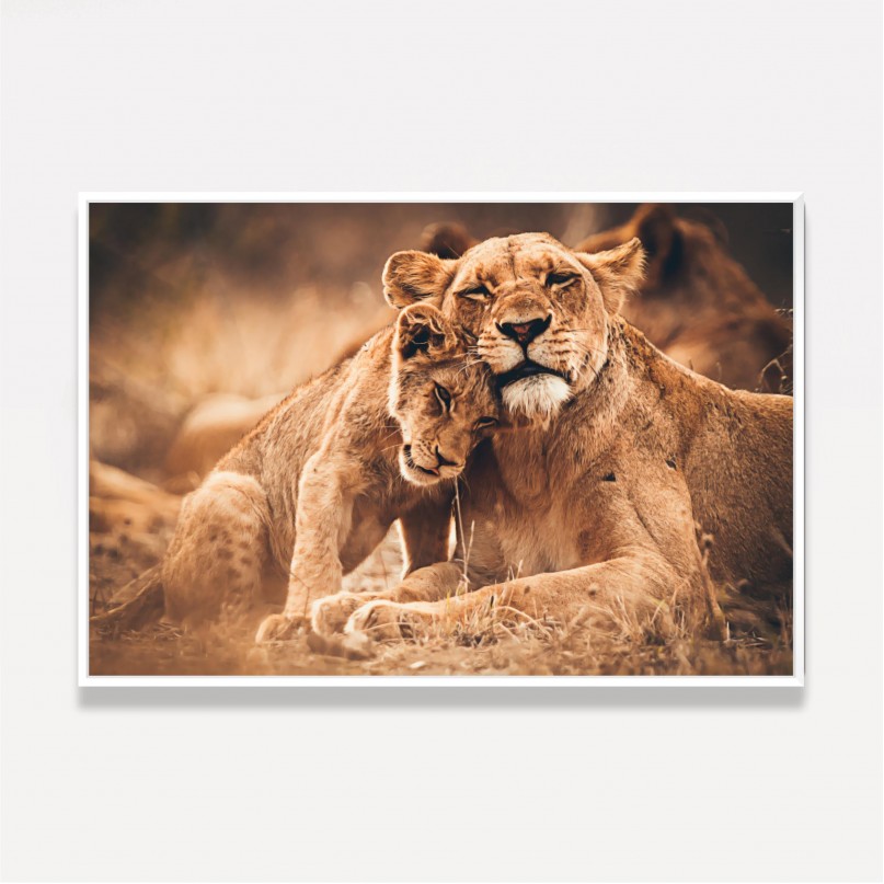 Quadro Leoa e Filhote Amor de Predador