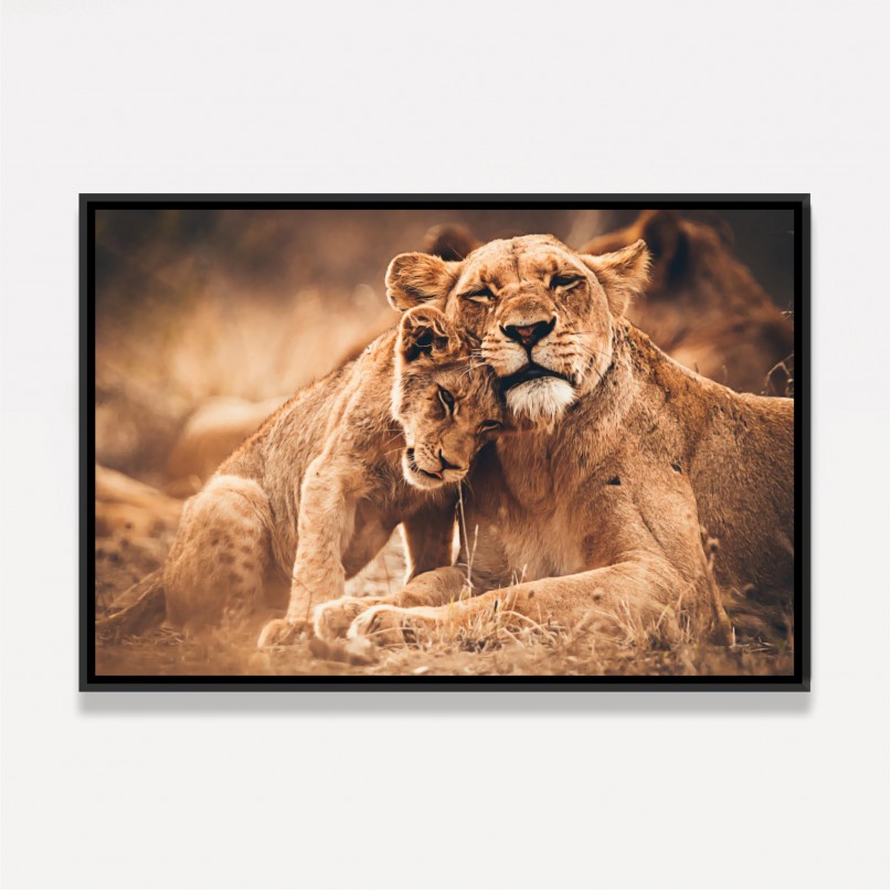 Quadro Leoa e Filhote Amor de Predador