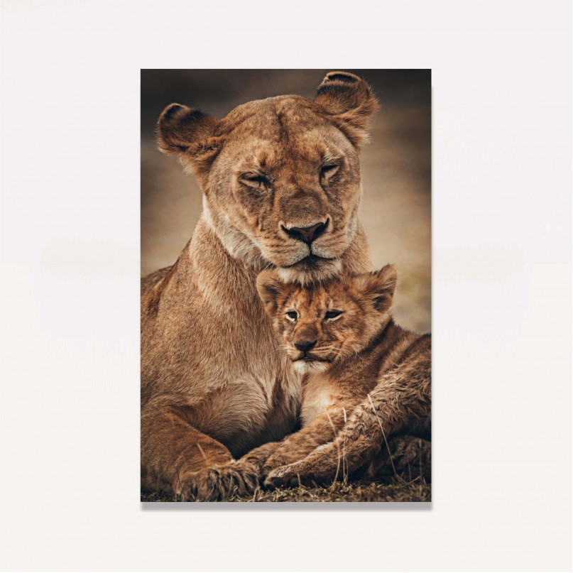 Quadro Leoa Amor Materno Família - 1 Filhote