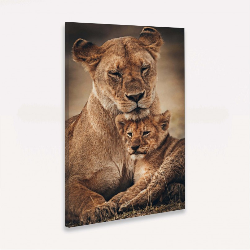 Quadro Leoa Amor Materno Família - 1 Filhote