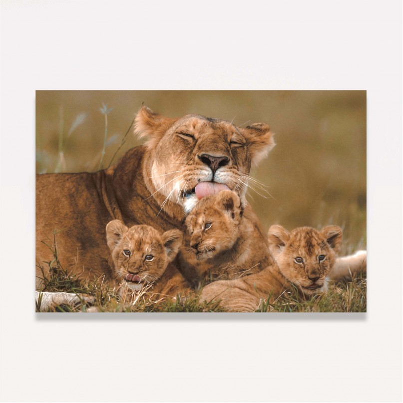 Quadro Leoa Família Amor Materno - 3 Filhotes