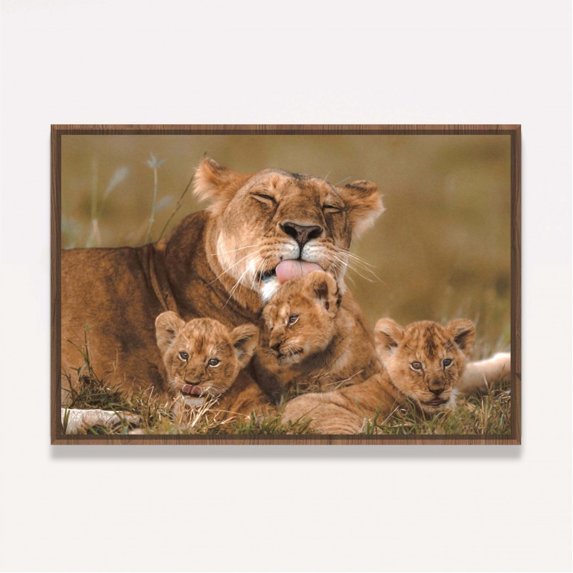 Quadro Leoa Família Amor Materno - 3 Filhotes