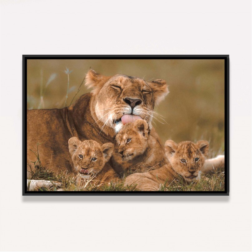 Quadro Leoa Família Amor Materno - 3 Filhotes