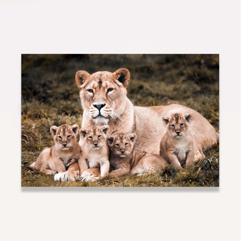Quadro Leoa Família Amor Materno - 4 Filhotes