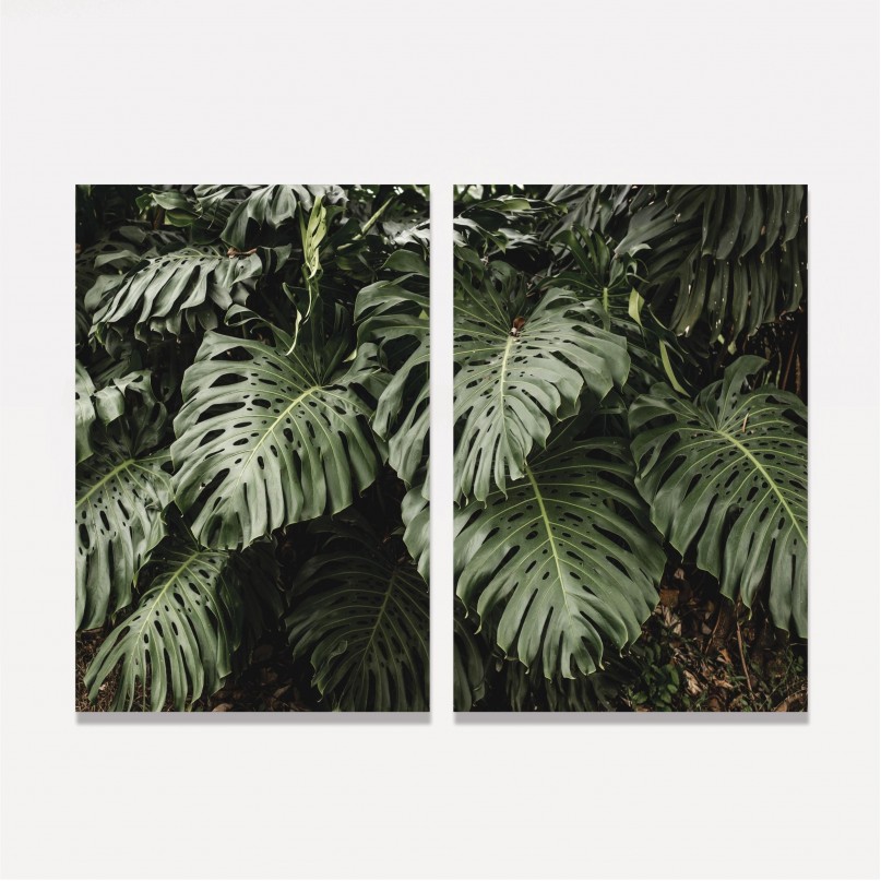 Quadro Folhas Costela de Adão Duo no Jardim - Kit 2 Telas