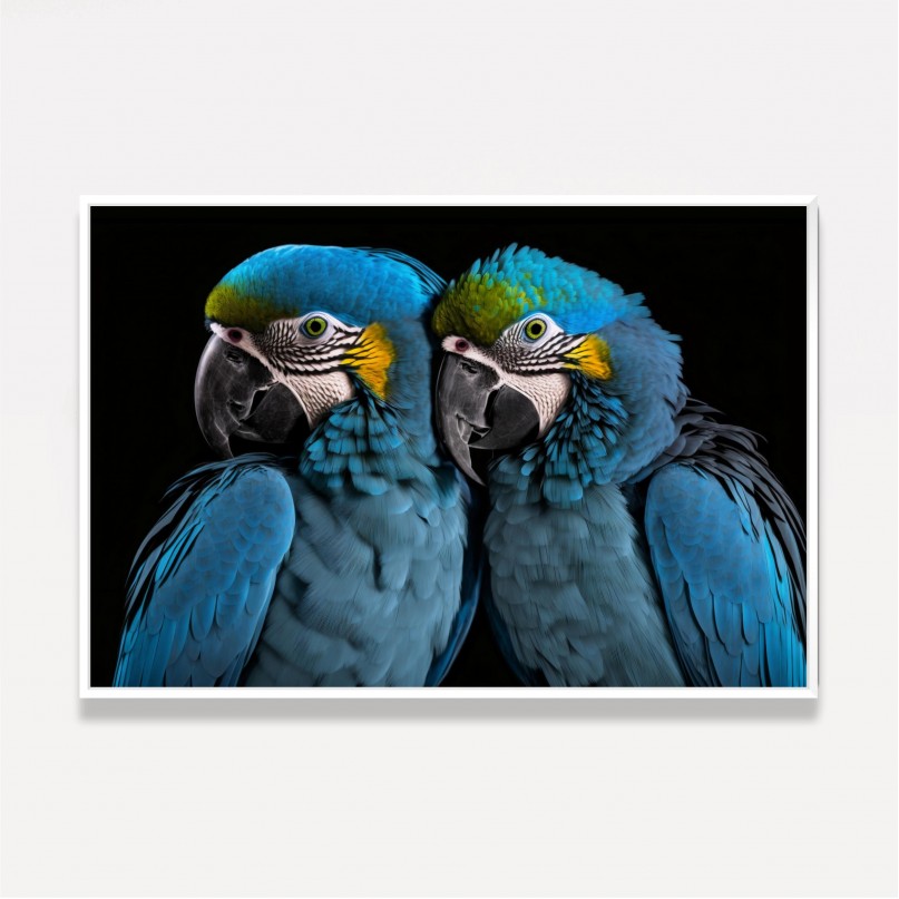 Quadro Casal de Araras em Harmonia