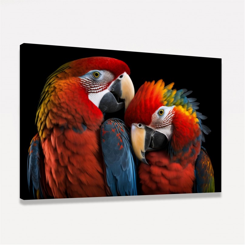 Quadro Casal Araras Vermelhas Amor