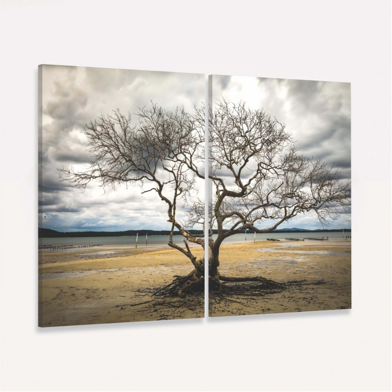 Quadro Árvore Sem Folhas Duo decorativo