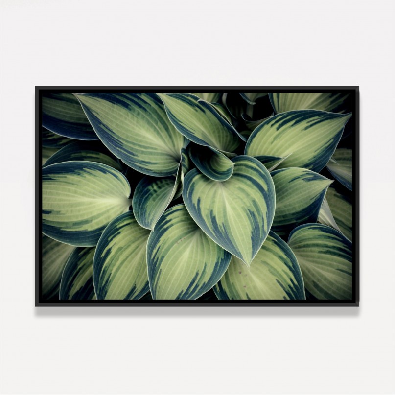 Quadro Planta Folhas Verdes
