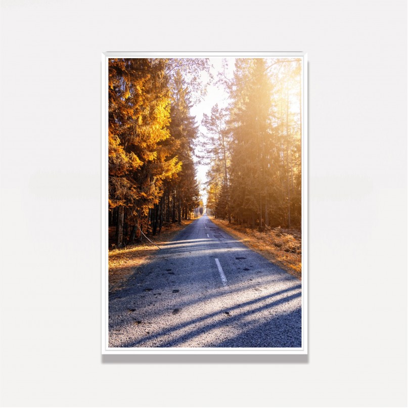Quadro Paisagem Corredor de Árvores - Trees Around de Road