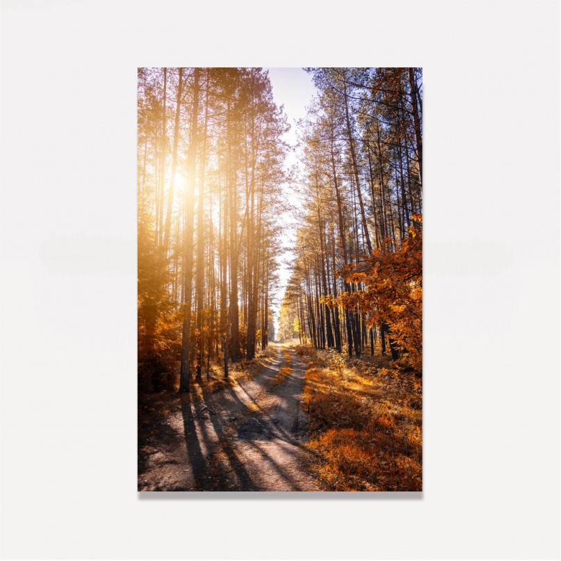 Quadro Paisagem Corredor de Árvores Ao Entardecer - Tree Trail