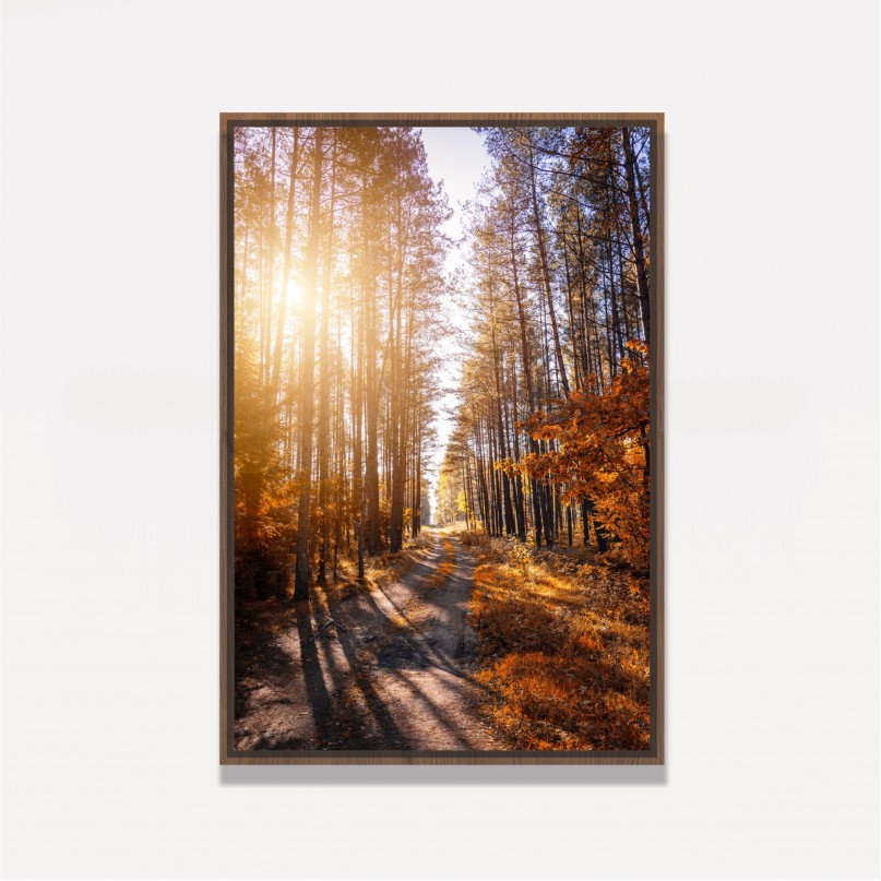 Quadro Paisagem Corredor de Árvores Ao Entardecer - Tree Trail