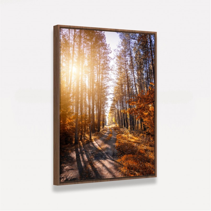 Quadro Paisagem Corredor de Árvores Ao Entardecer - Tree Trail