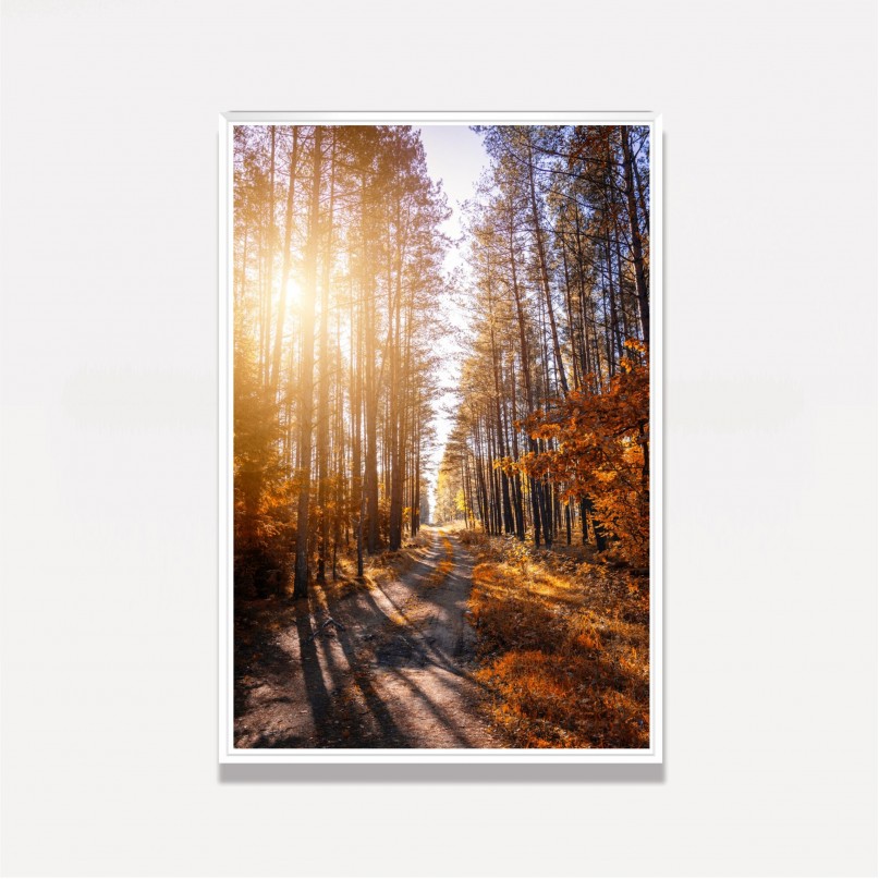 Quadro Paisagem Corredor de Árvores Ao Entardecer - Tree Trail