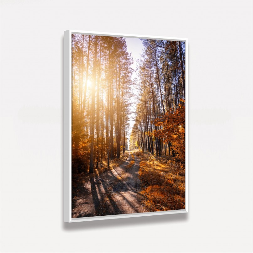 Quadro Paisagem Corredor de Árvores Ao Entardecer - Tree Trail
