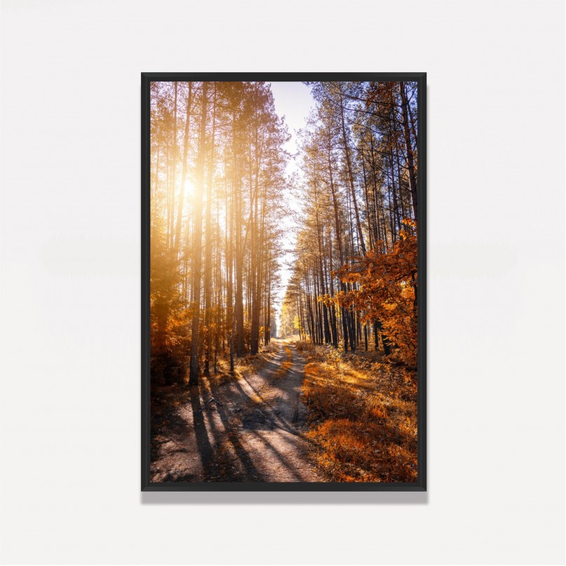 Quadro Paisagem Corredor de Árvores Ao Entardecer - Tree Trail