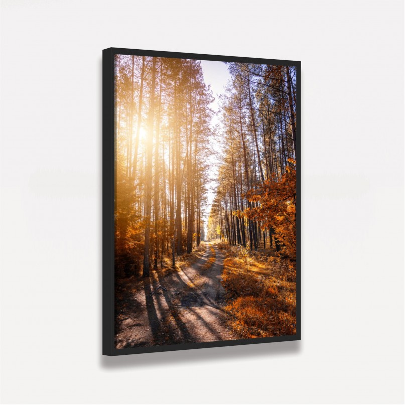 Quadro Paisagem Corredor de Árvores Ao Entardecer - Tree Trail