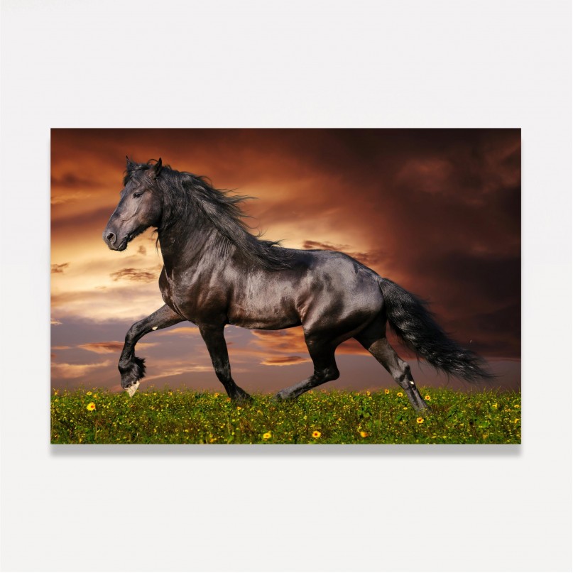 Quadro Cavalo Majestade Equina 